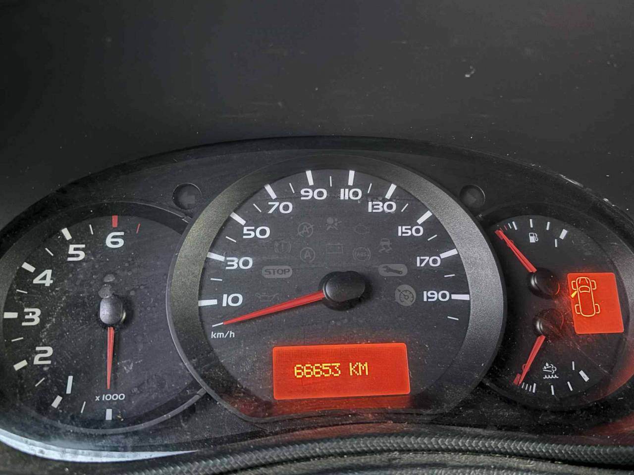 Van per Cavalli Theault THEAULT 2018 Occasione