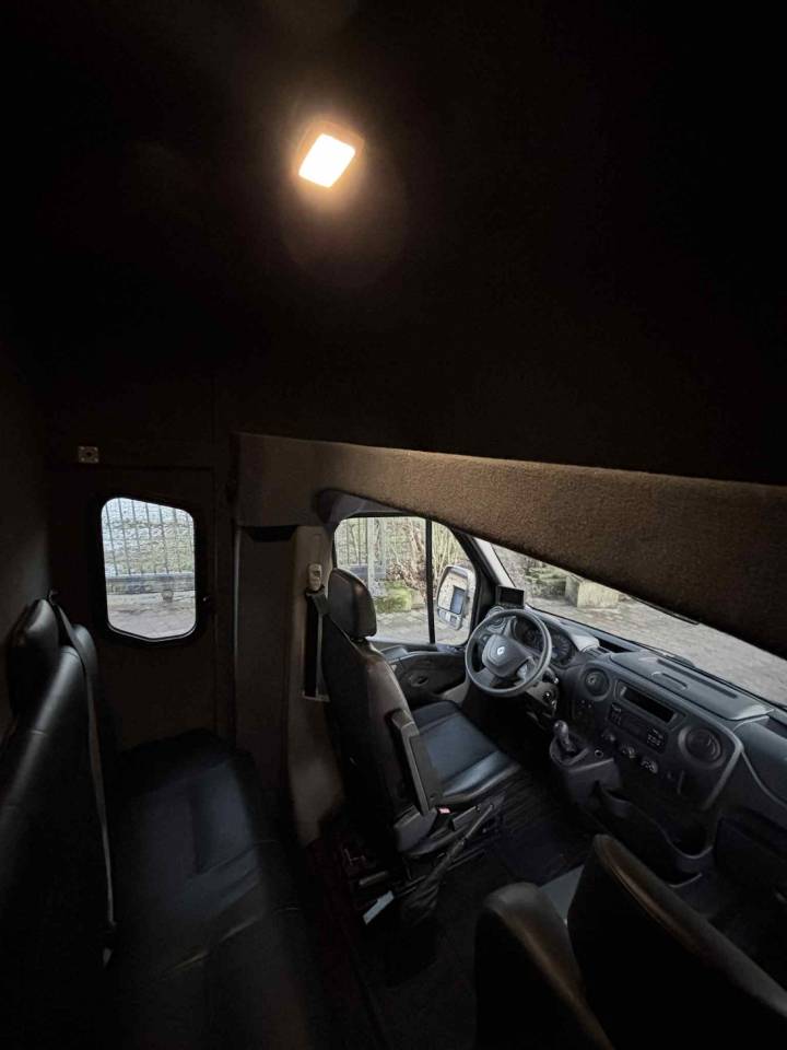 Van per Cavalli Theault THEAULT 2018 Occasione