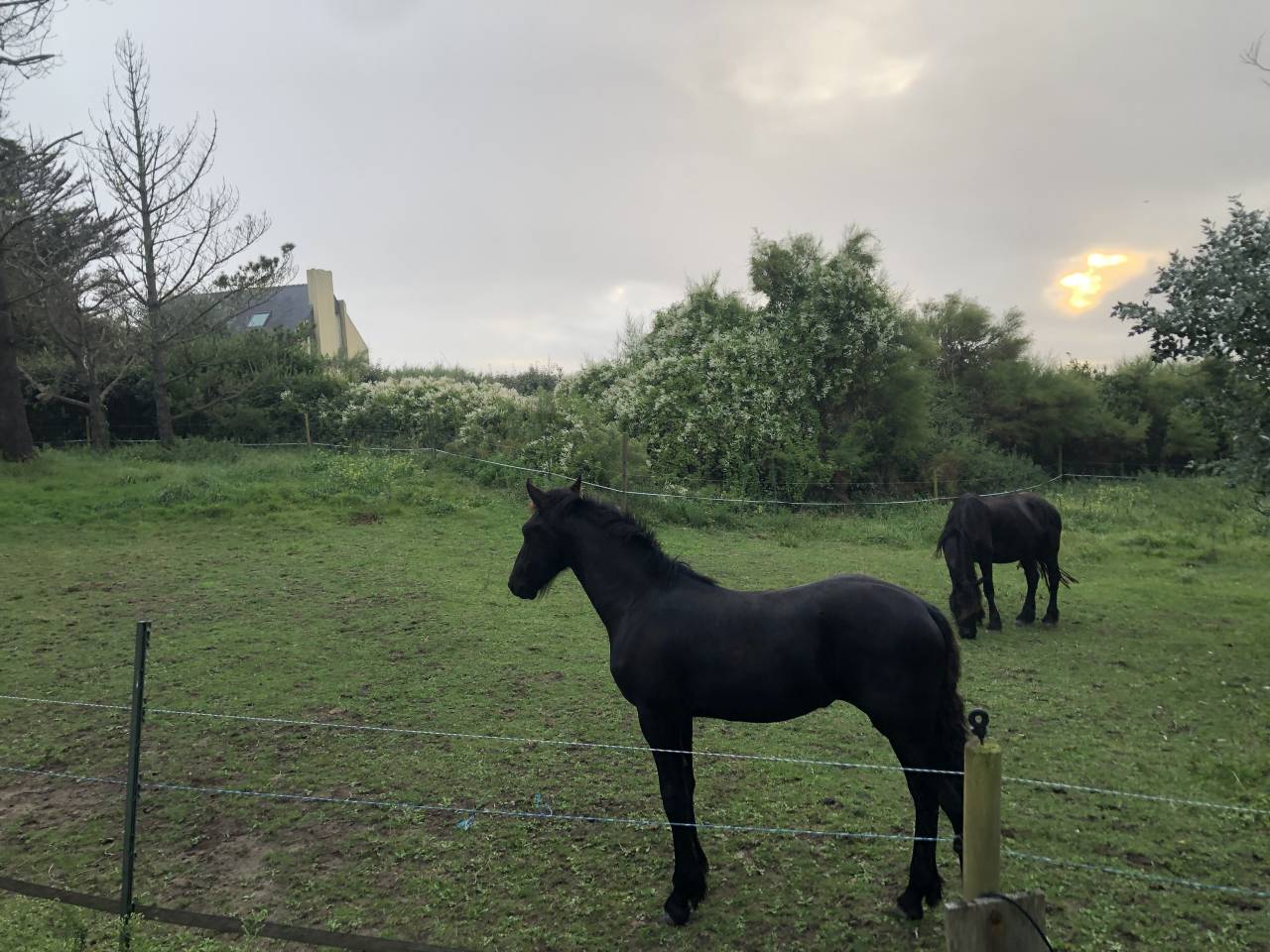 Propriet&agrave; equestre In vendita Finist&egrave;re