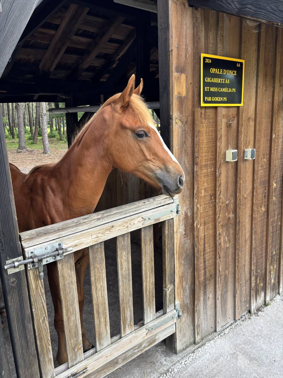 Propriet&agrave; equestre In vendita Gironde