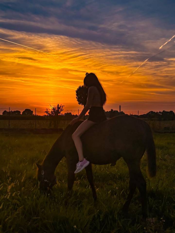 Pensione cavalli fine carriera/puledri