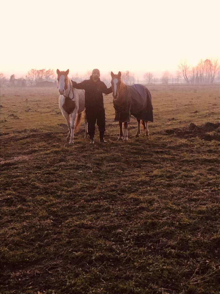 Pensione cavalli fine carriera/puledri