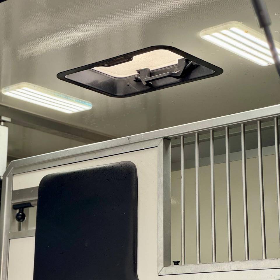 Van per Cavalli AKX 3p 2025 Occasione