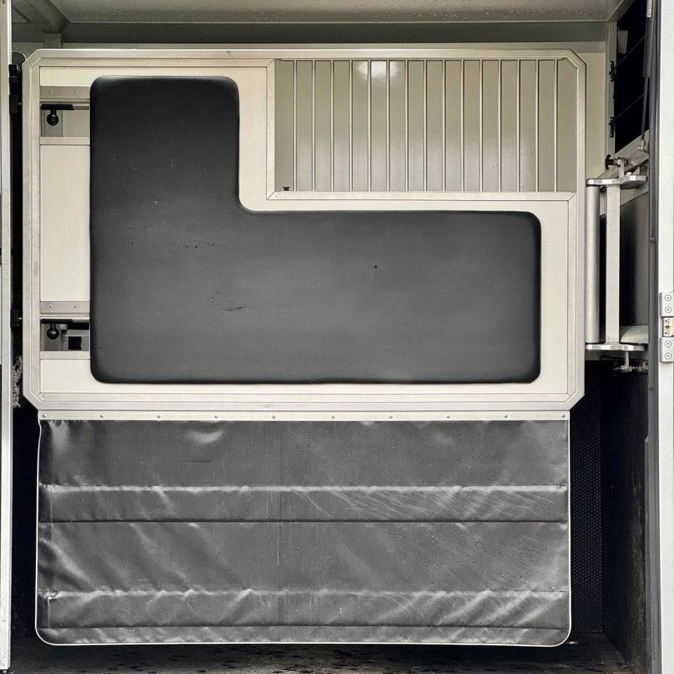 Van per Cavalli AKX 3p 2025 Occasione