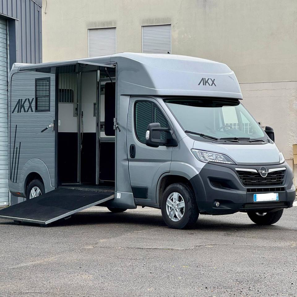 Van per Cavalli AKX 3p 2025 Occasione