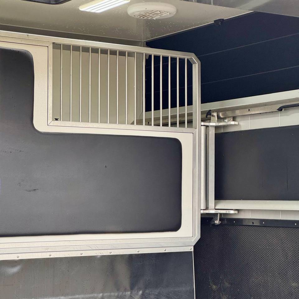 Van per Cavalli AKX 3p 2025 Occasione