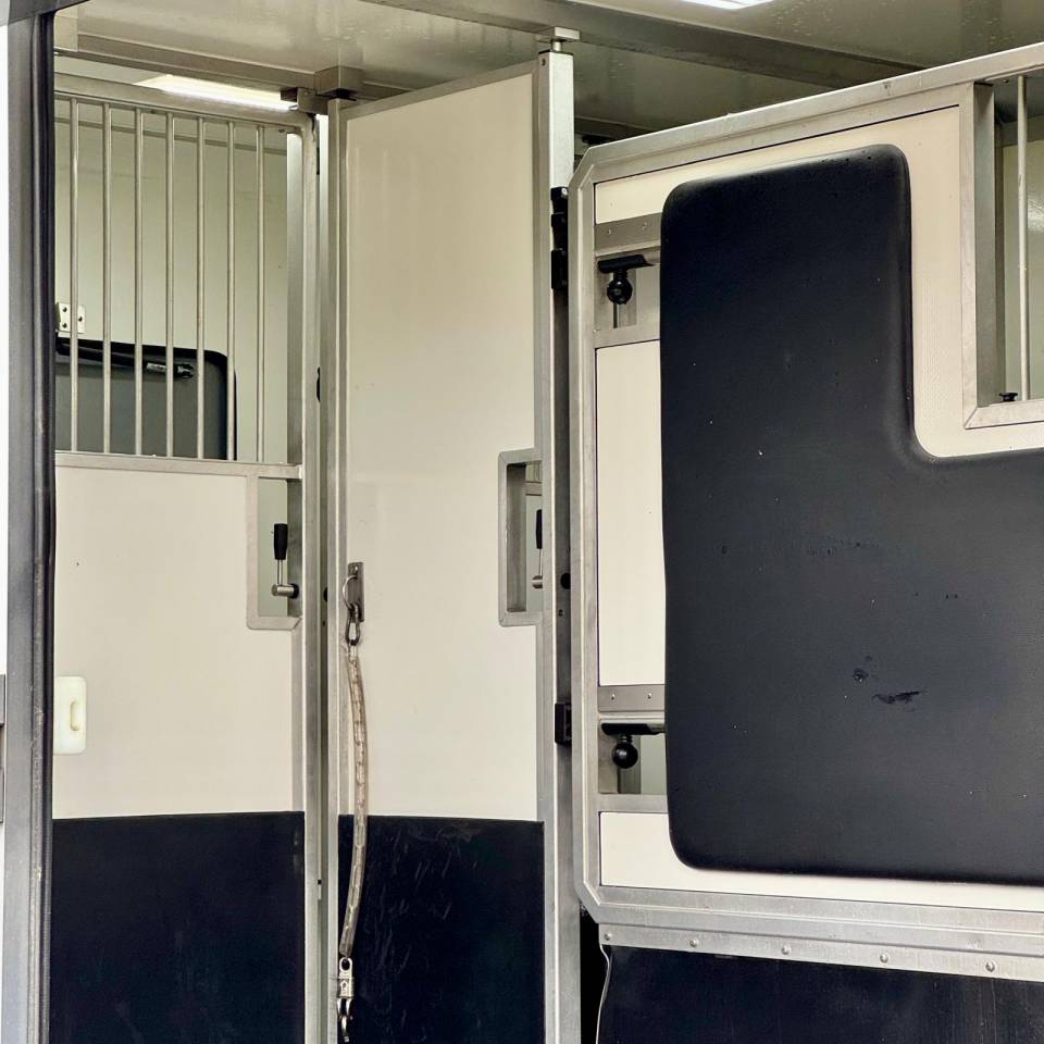 Van per Cavalli AKX 3p 2025 Occasione