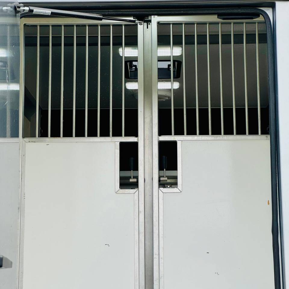 Van per Cavalli AKX 3p 2025 Occasione