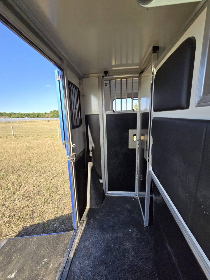 Van per Cavalli Krismar 3pstallion 2021 Occasione