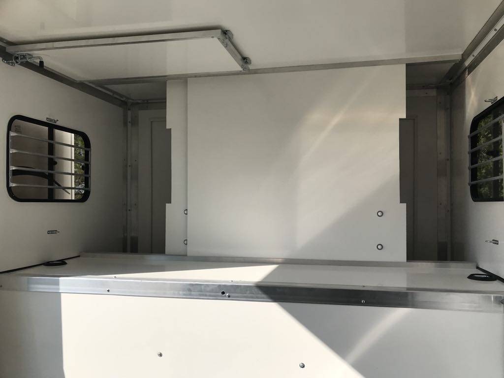 Van per Cavalli Renault  2011 Occasione