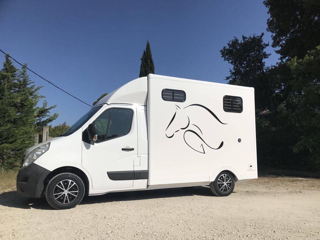 Van per Cavalli Renault  2011 Occasione