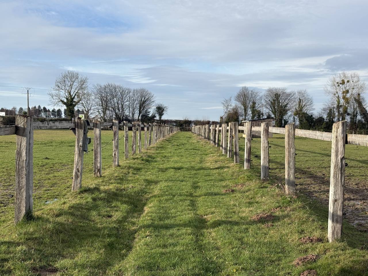 Centro di stagione cavallo In vendita Calvados
