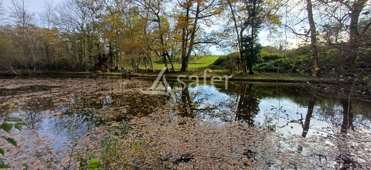 Azienda agricola In vendita Dordogne