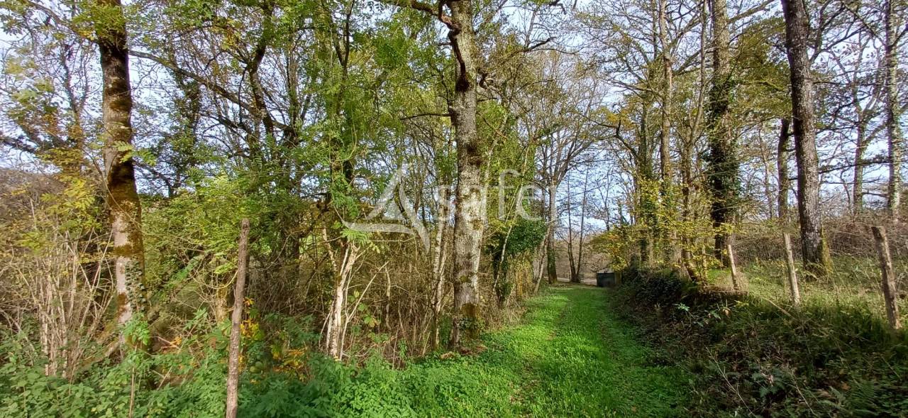 Azienda agricola In vendita Dordogne
