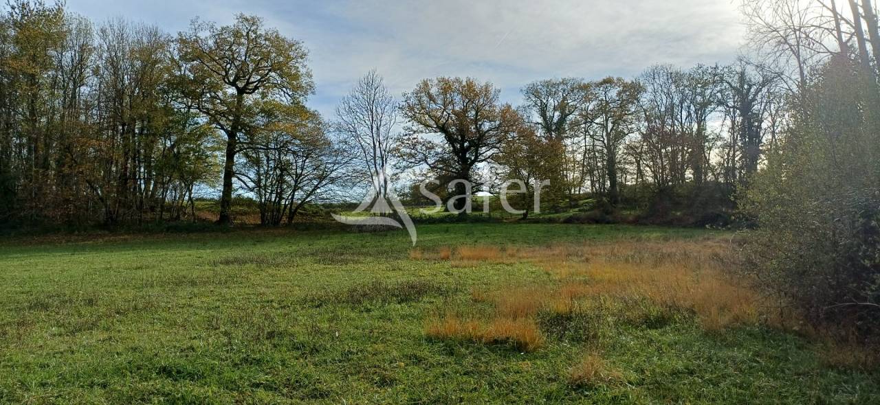 Azienda agricola In vendita Dordogne
