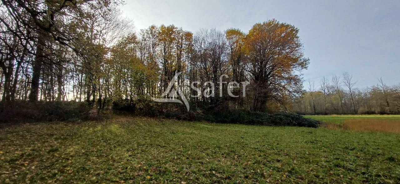 Azienda agricola In vendita Dordogne