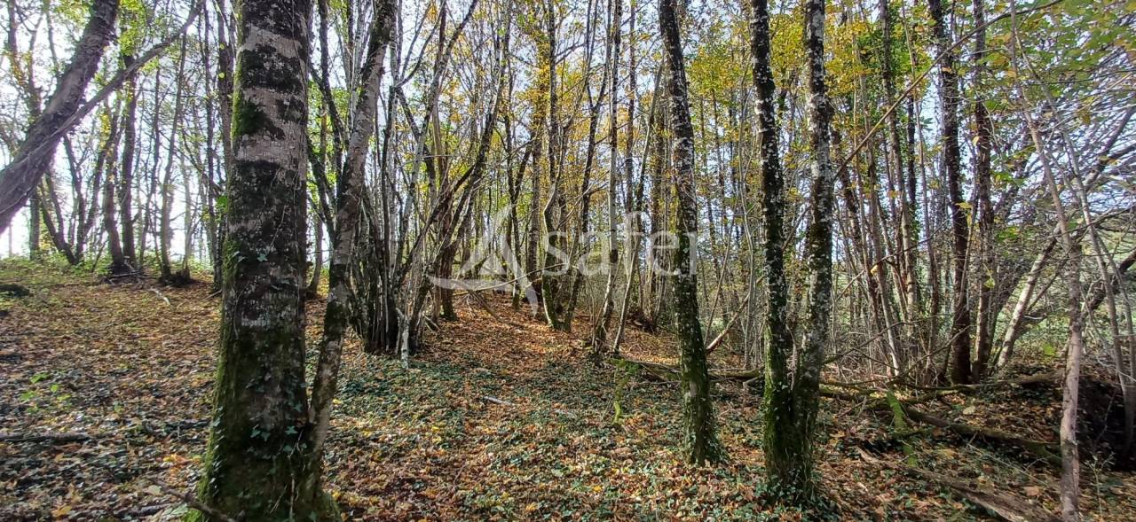 Azienda agricola In vendita Dordogne