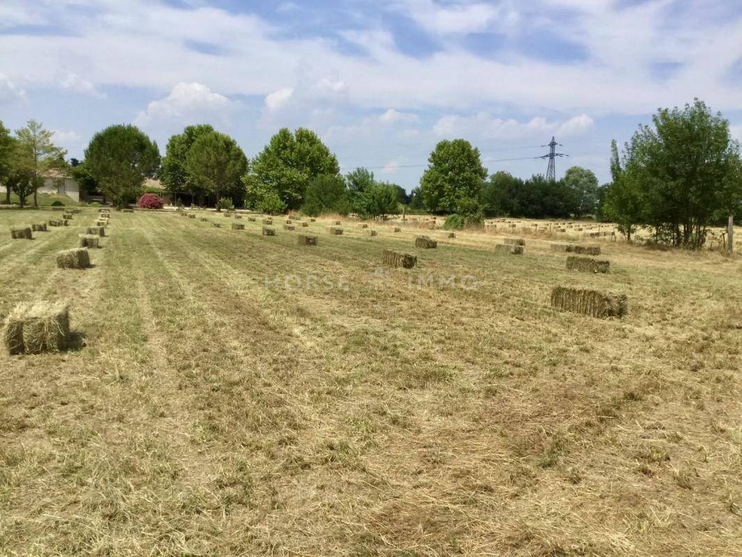 Propriet&agrave; equestre In vendita Gard