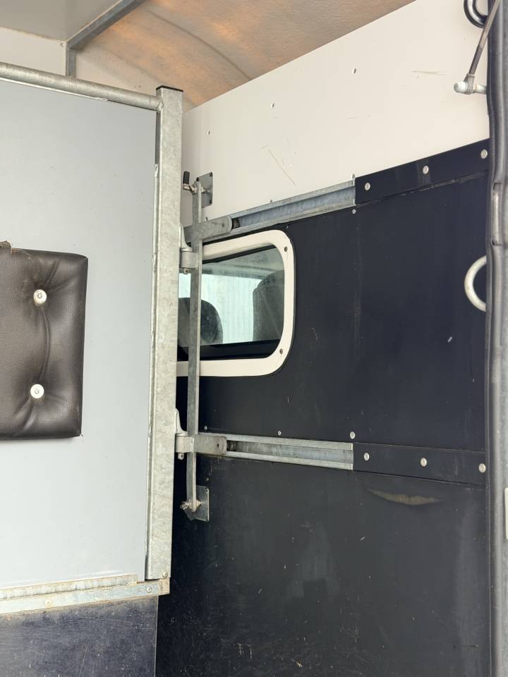 Van per Cavalli AP Petit 3pstalles 2022 Occasione