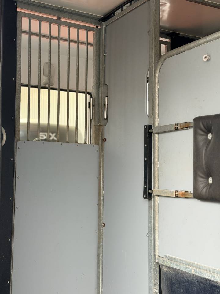 Van per Cavalli AP Petit 3pstalles 2022 Occasione