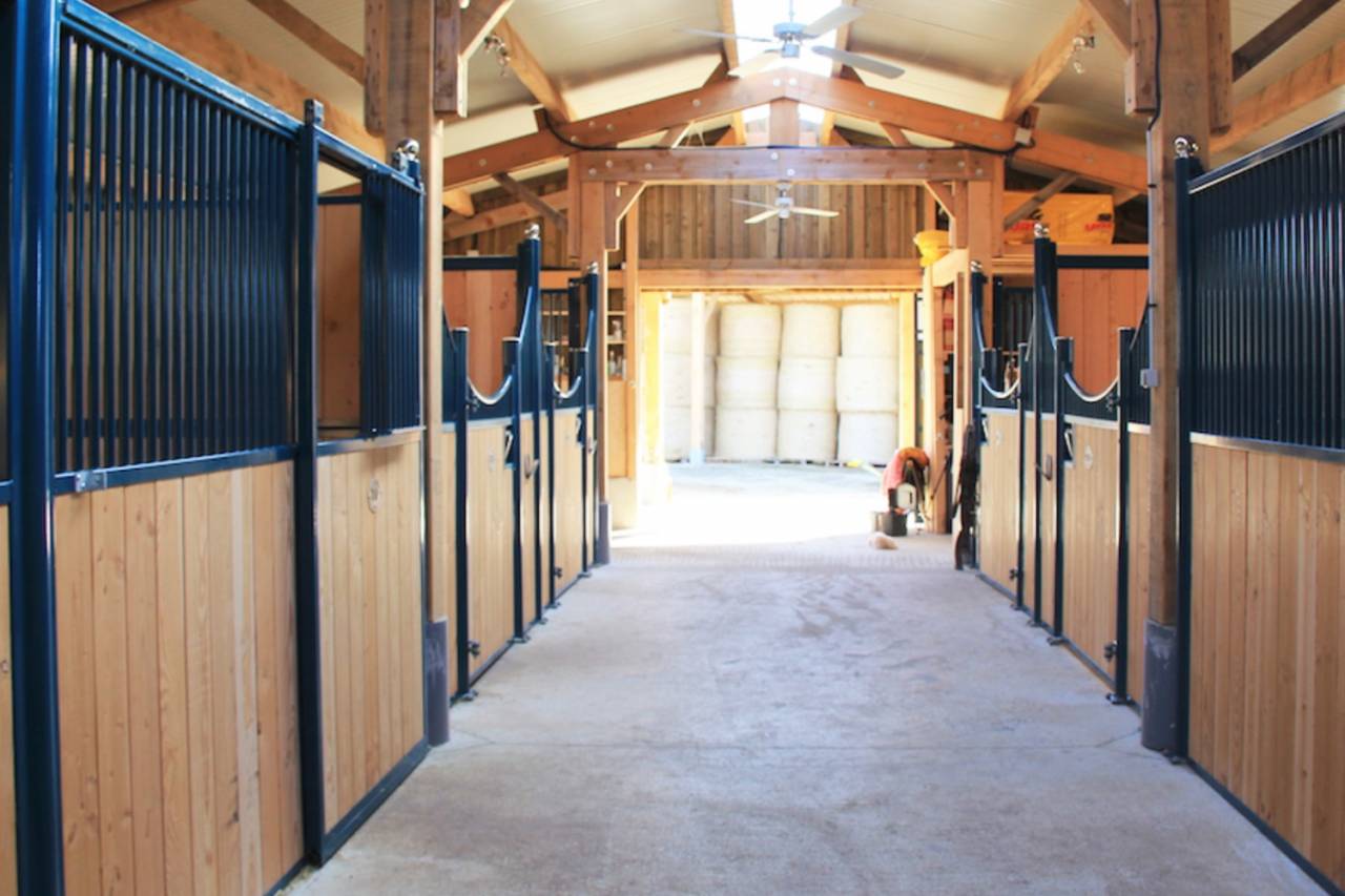 Propriet&agrave; equestre In vendita Puy-de-D&ocirc;me