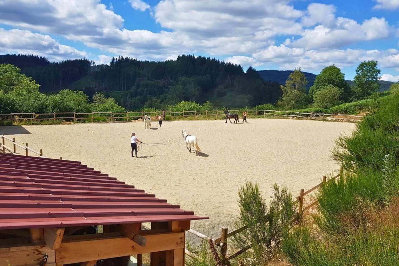 Propriet&agrave; equestre In vendita Puy-de-D&ocirc;me