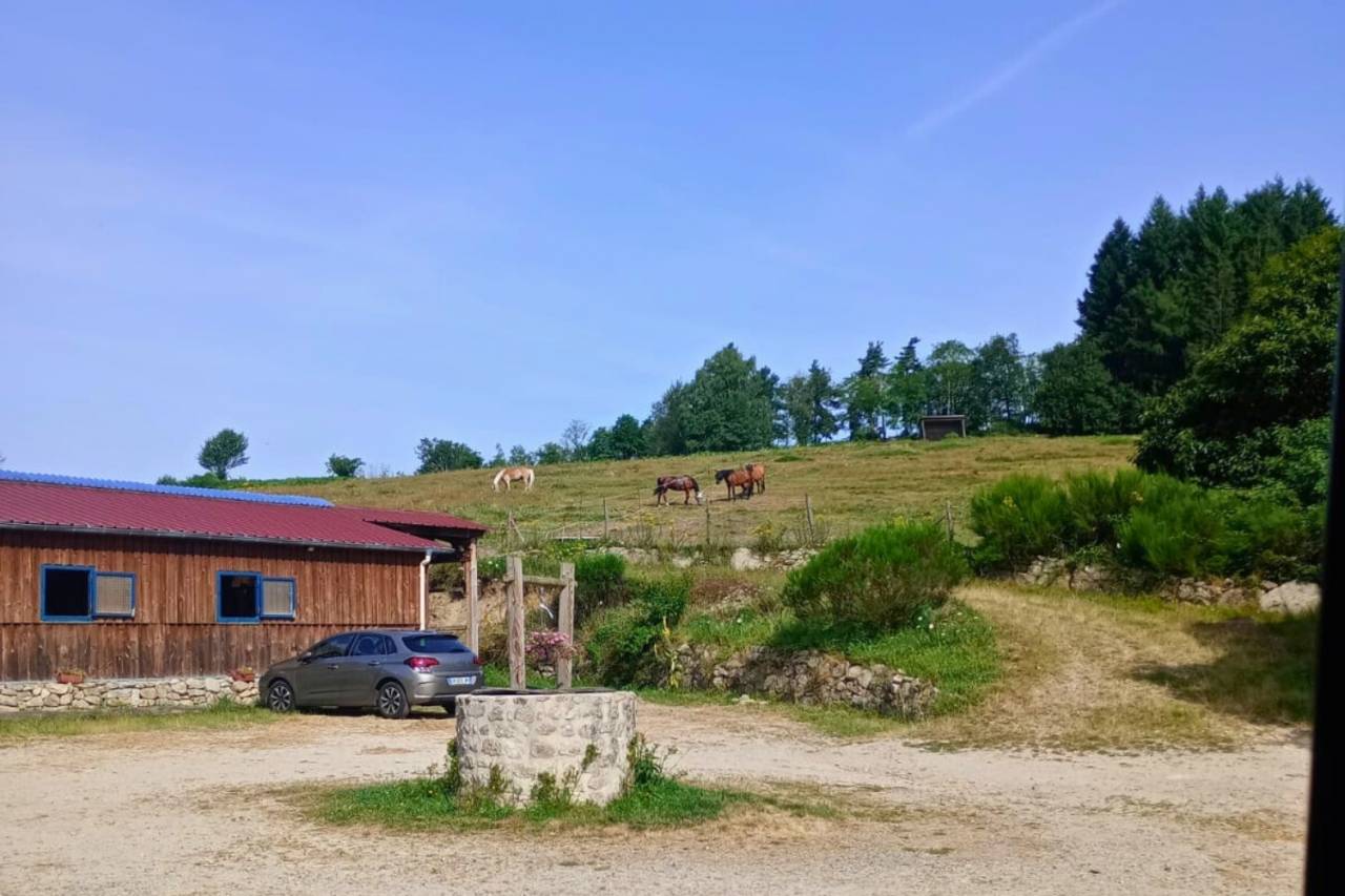Propriet&agrave; equestre In vendita Puy-de-D&ocirc;me