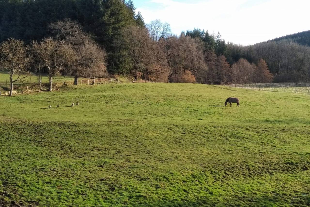 Propriet&agrave; equestre In vendita Puy-de-D&ocirc;me