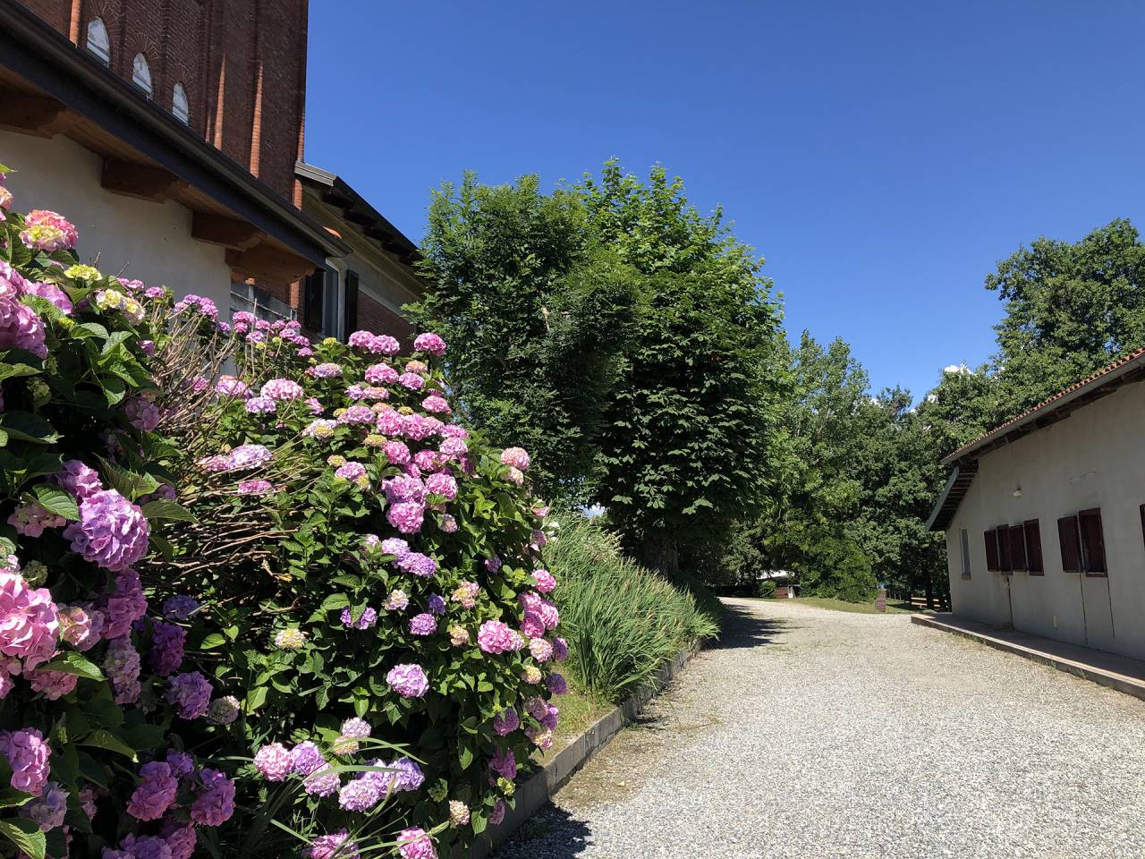 Propriet&agrave; con strutture per attivit&agrave; equestri