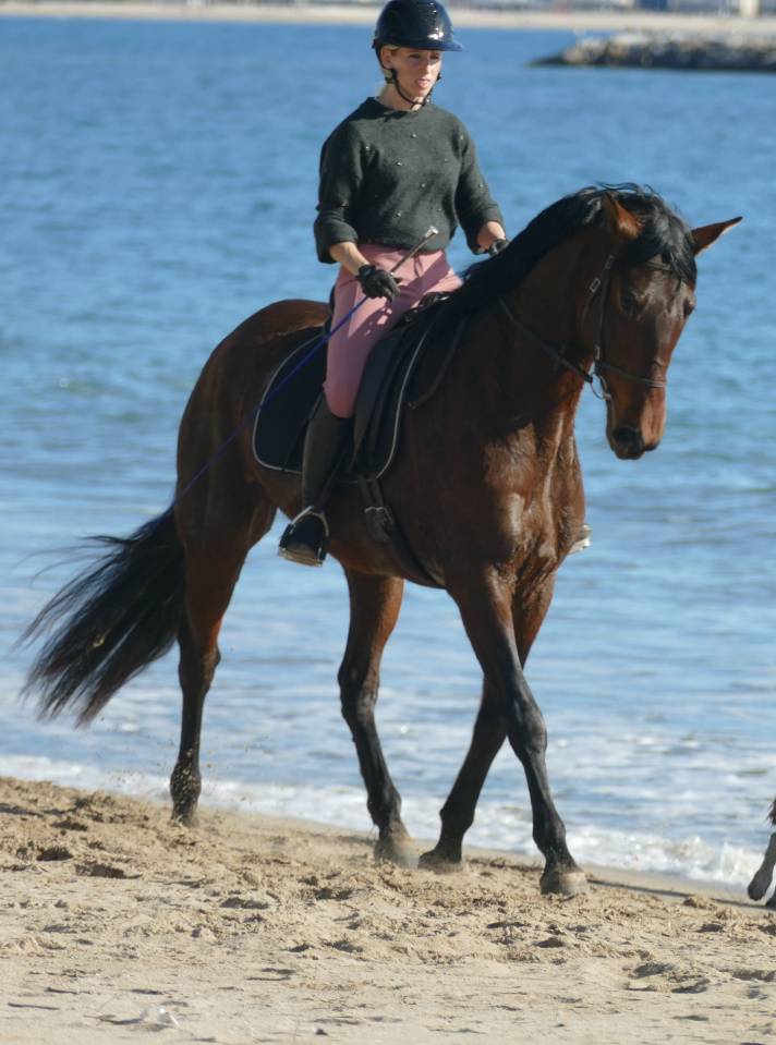 Cavalla PRE Andaluso In vendita 2021 Baio scuro ,  Kefren Cen