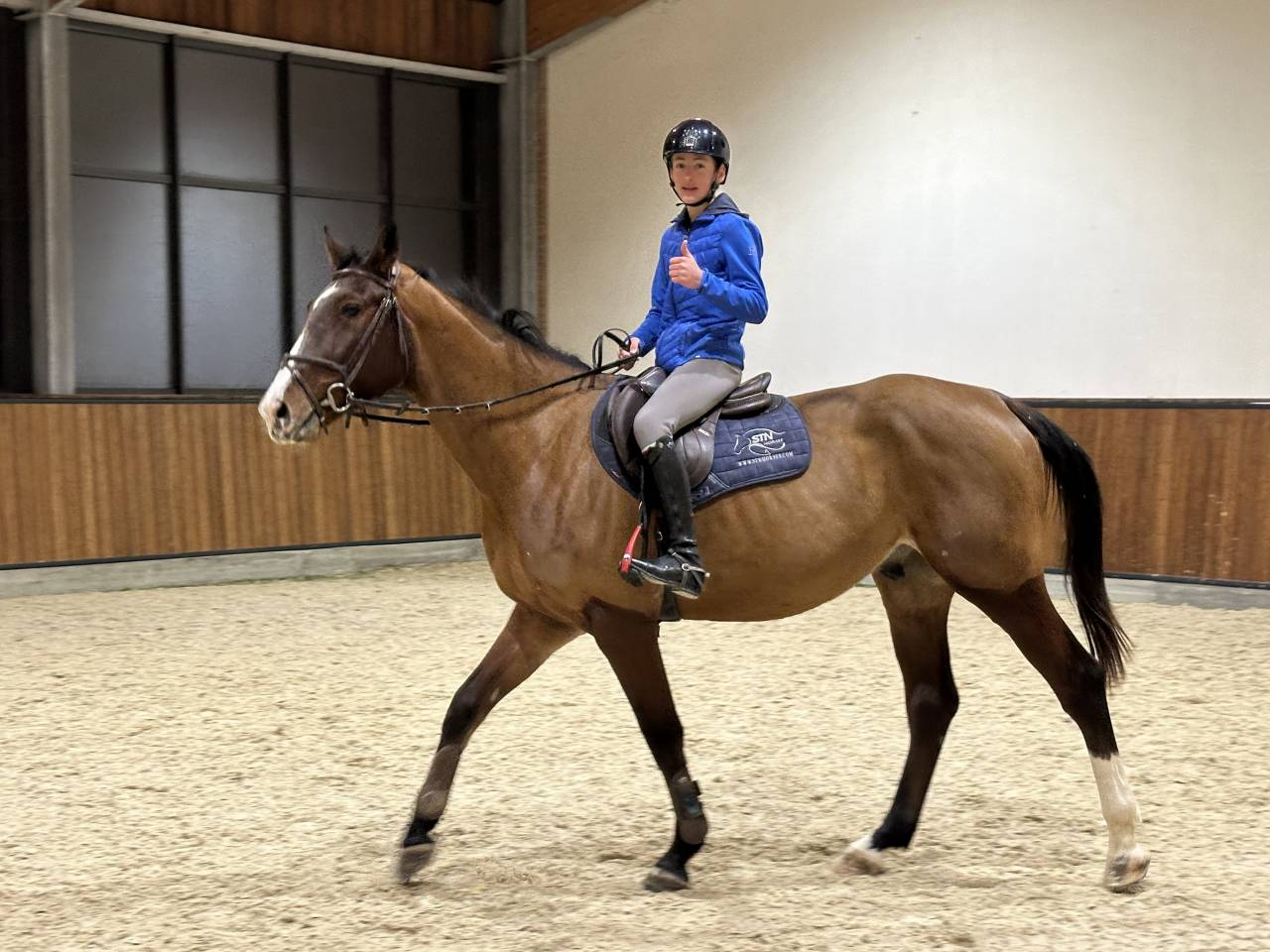 Top 4 anni da salto ostacoli