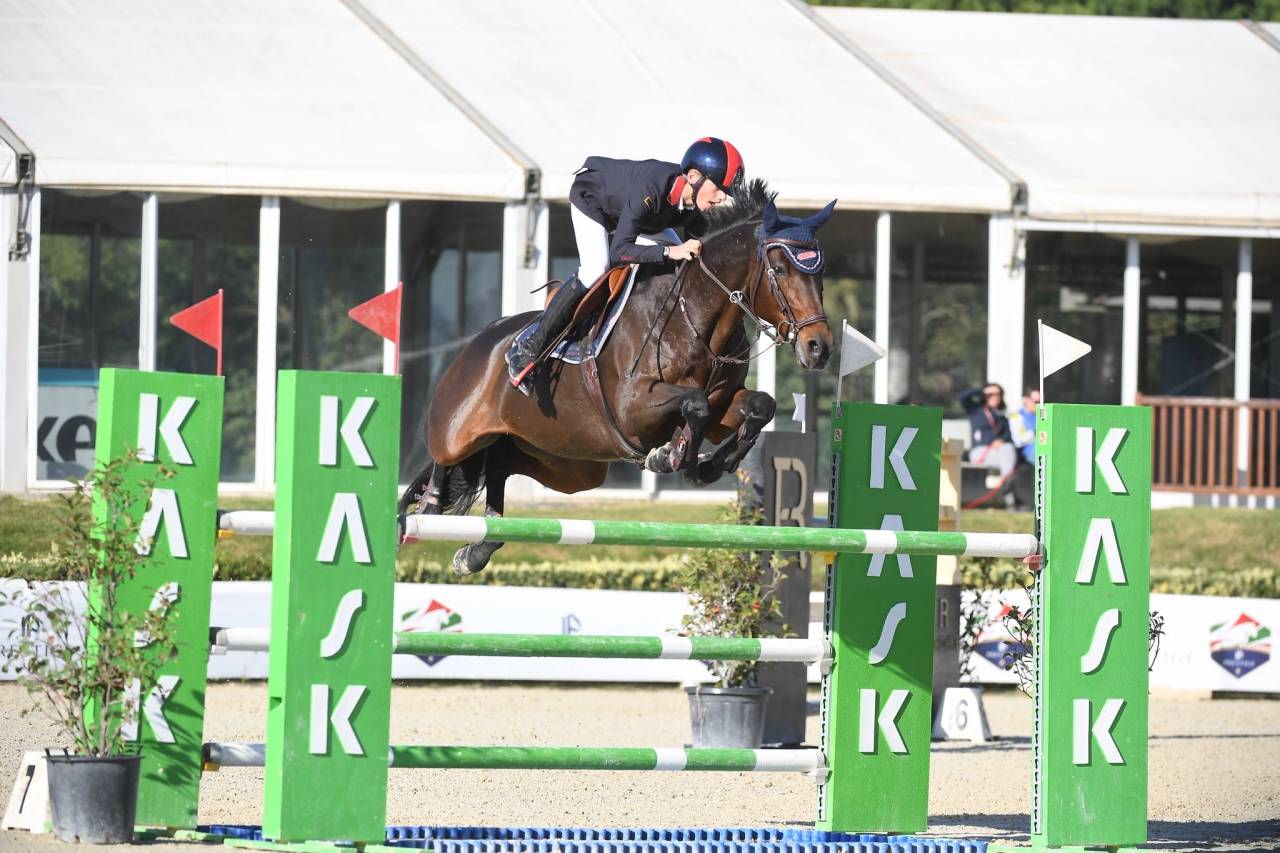 Cavalla da fare 1.30m 