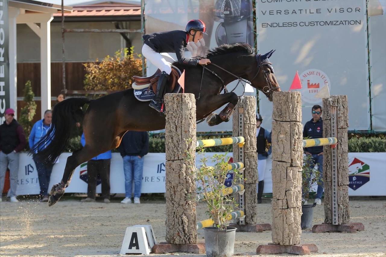 Cavalla da fare 1.30m 