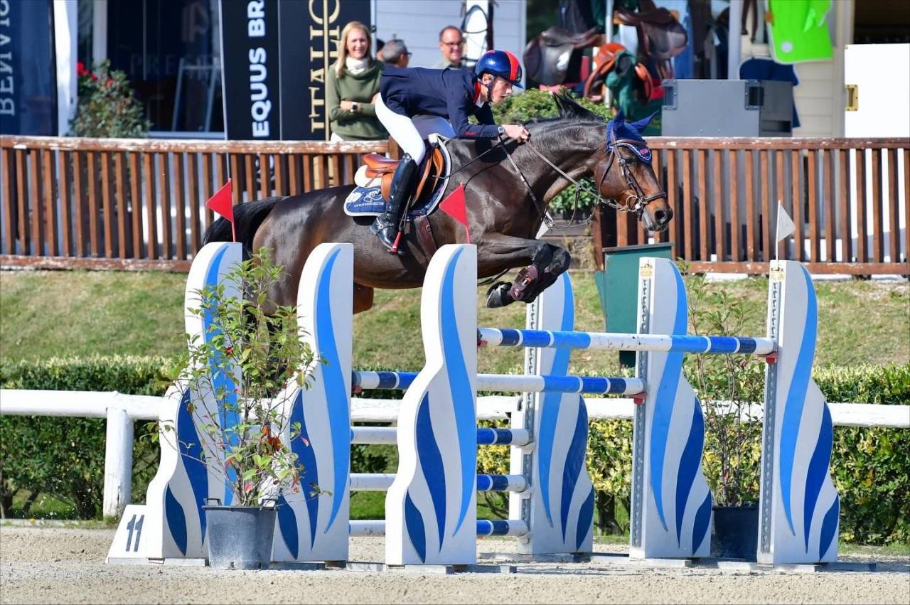 Cavalla da fare 1.30m 