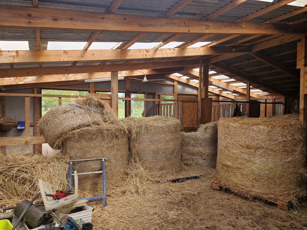 Propriet&agrave; equestre In vendita Luxembourg belge