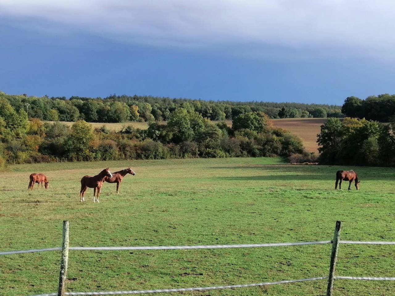 Bella dimora equestre In vendita Charente