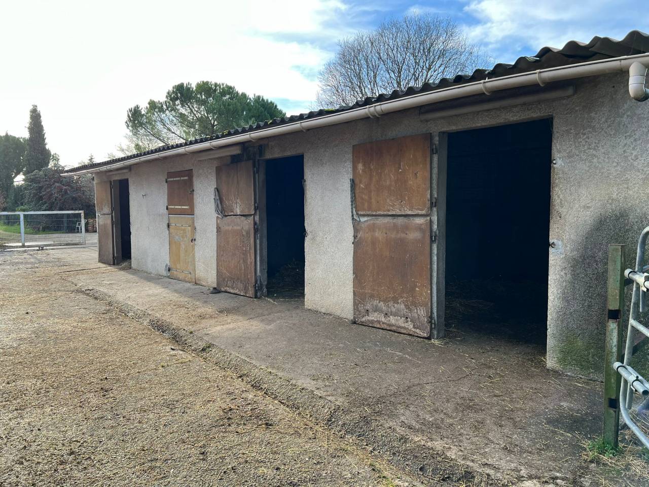 Bella dimora equestre In vendita Charente