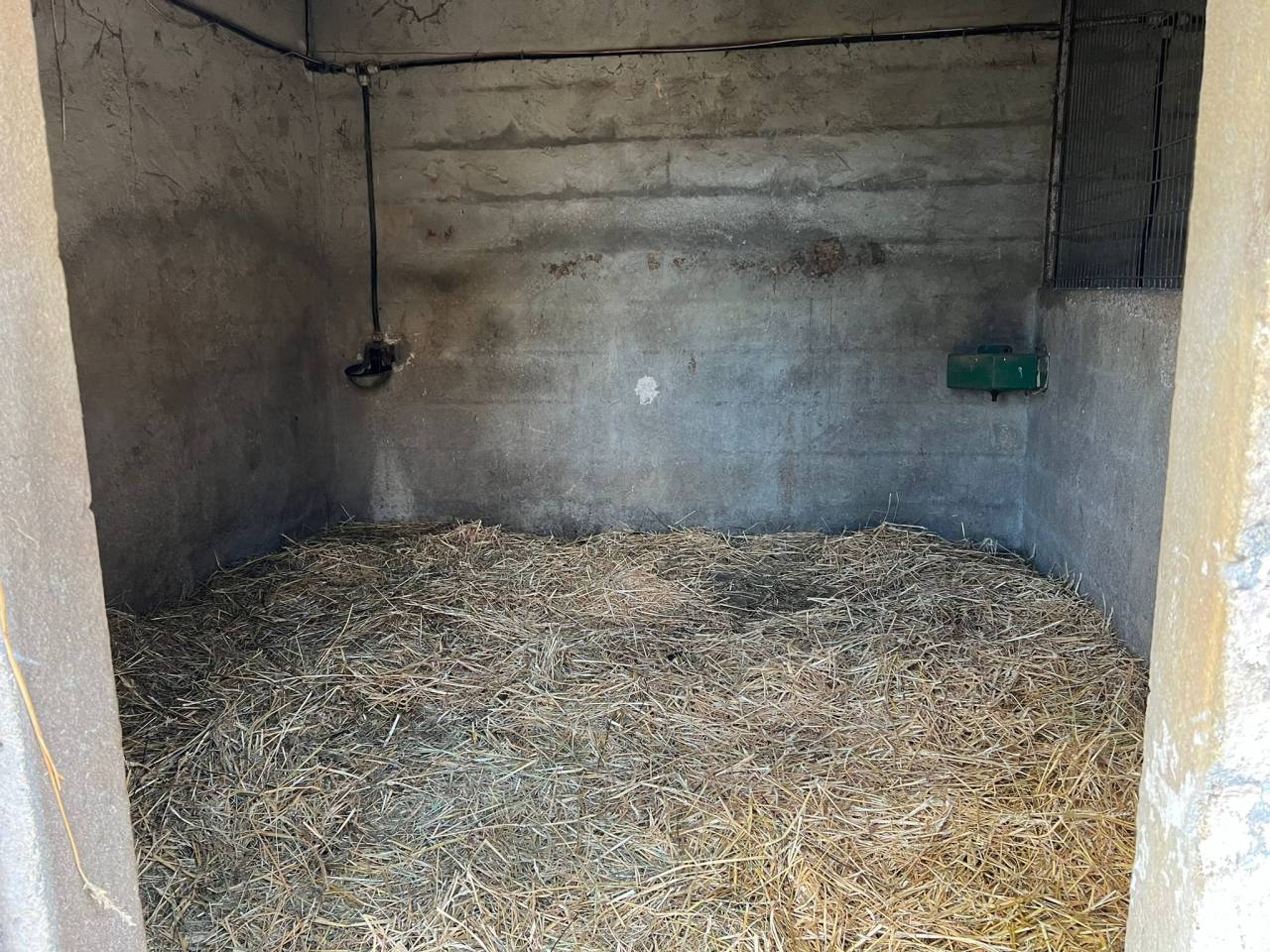 Bella dimora equestre In vendita Charente