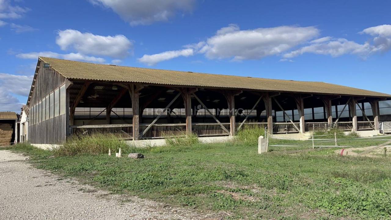 Propriet&agrave; equestre In vendita Gard