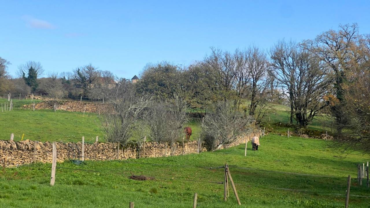 Bella dimora equestre In vendita Lot