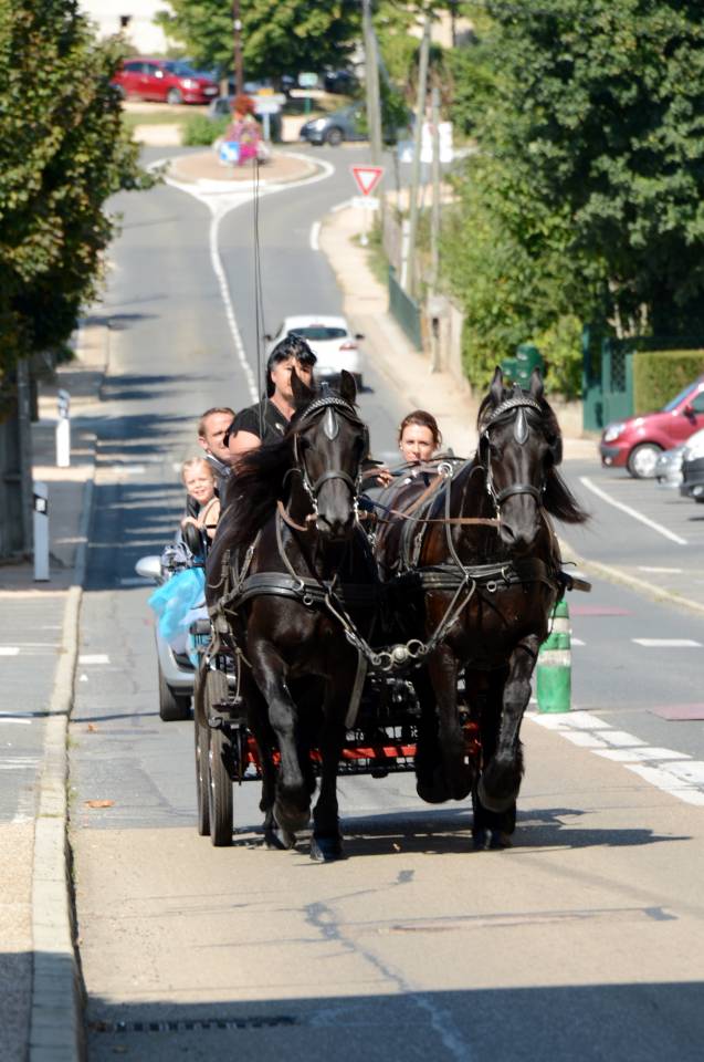 Attacchi - Calesse - Altra marca -  