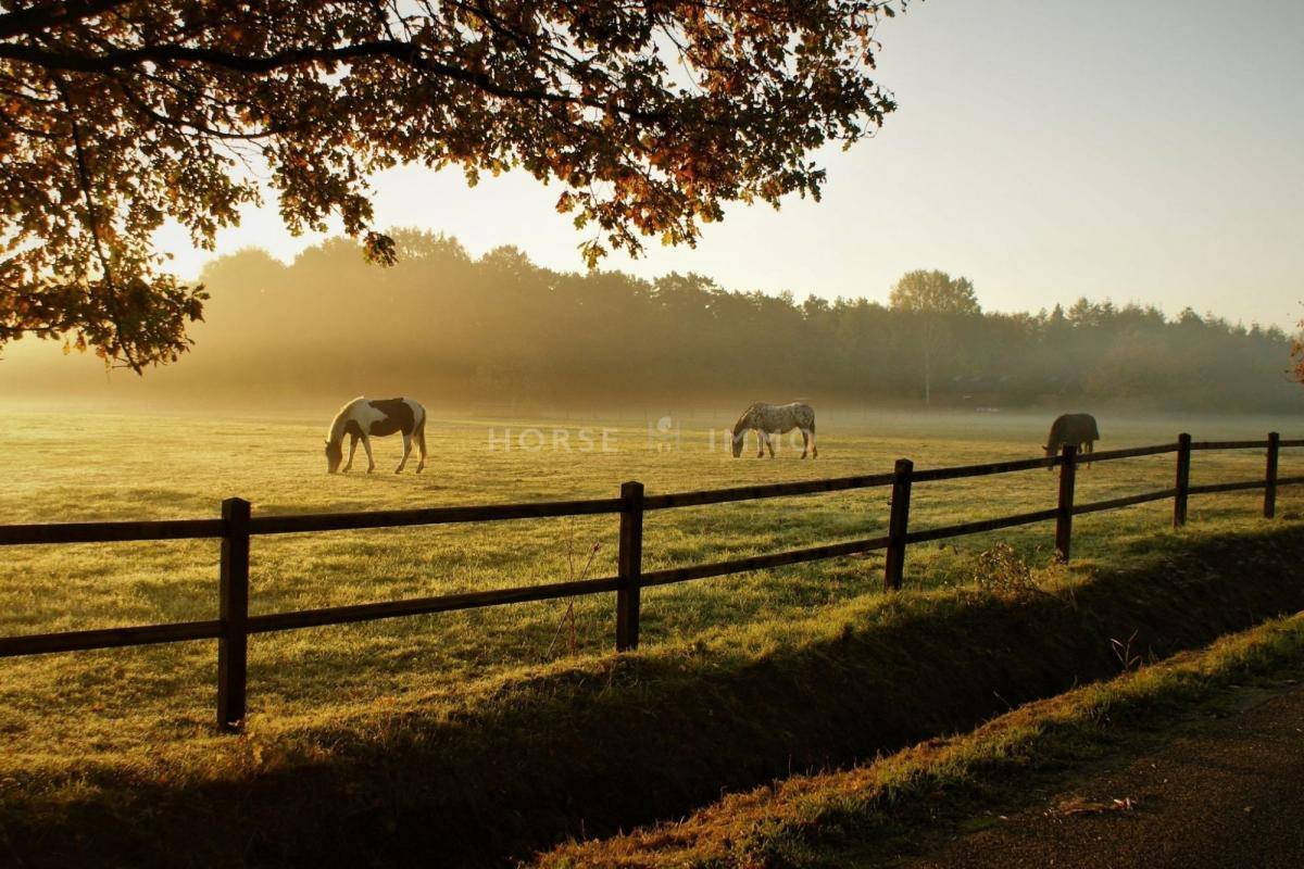 Propriet&agrave; equestre In vendita Dr&ocirc;me
