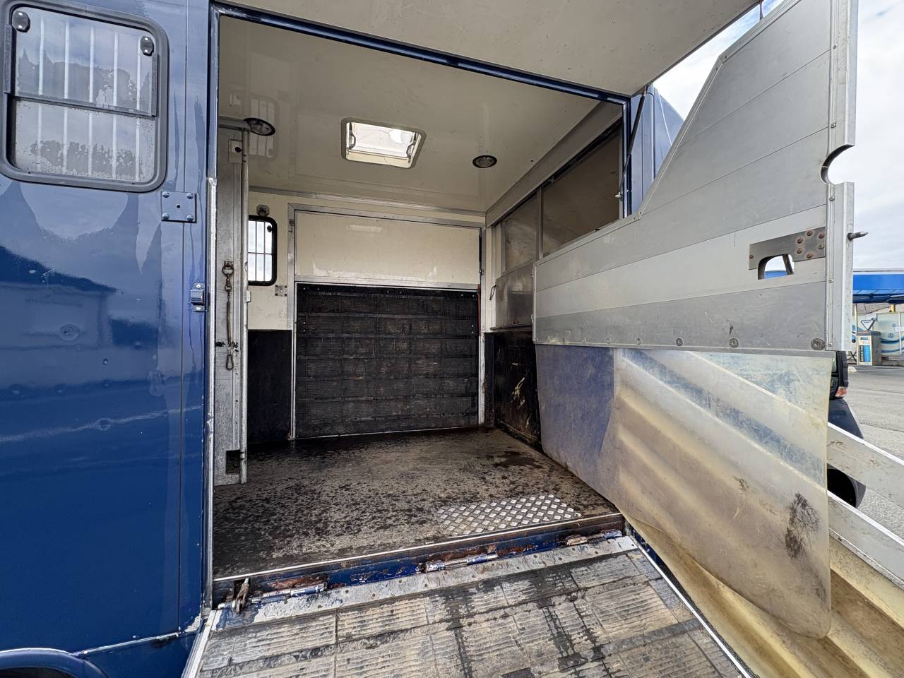 Van per Cavalli Iveco Daily  2009 Occasione