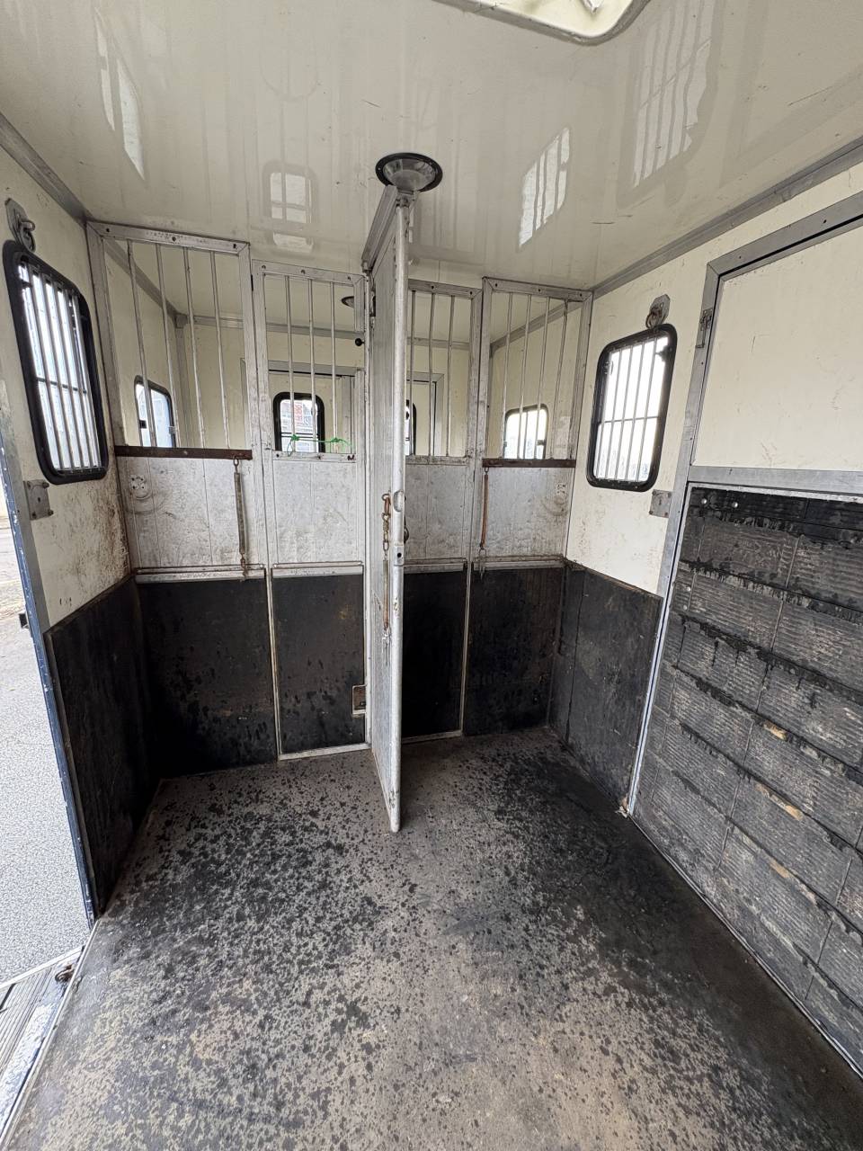 Van per Cavalli Iveco Daily  2009 Occasione