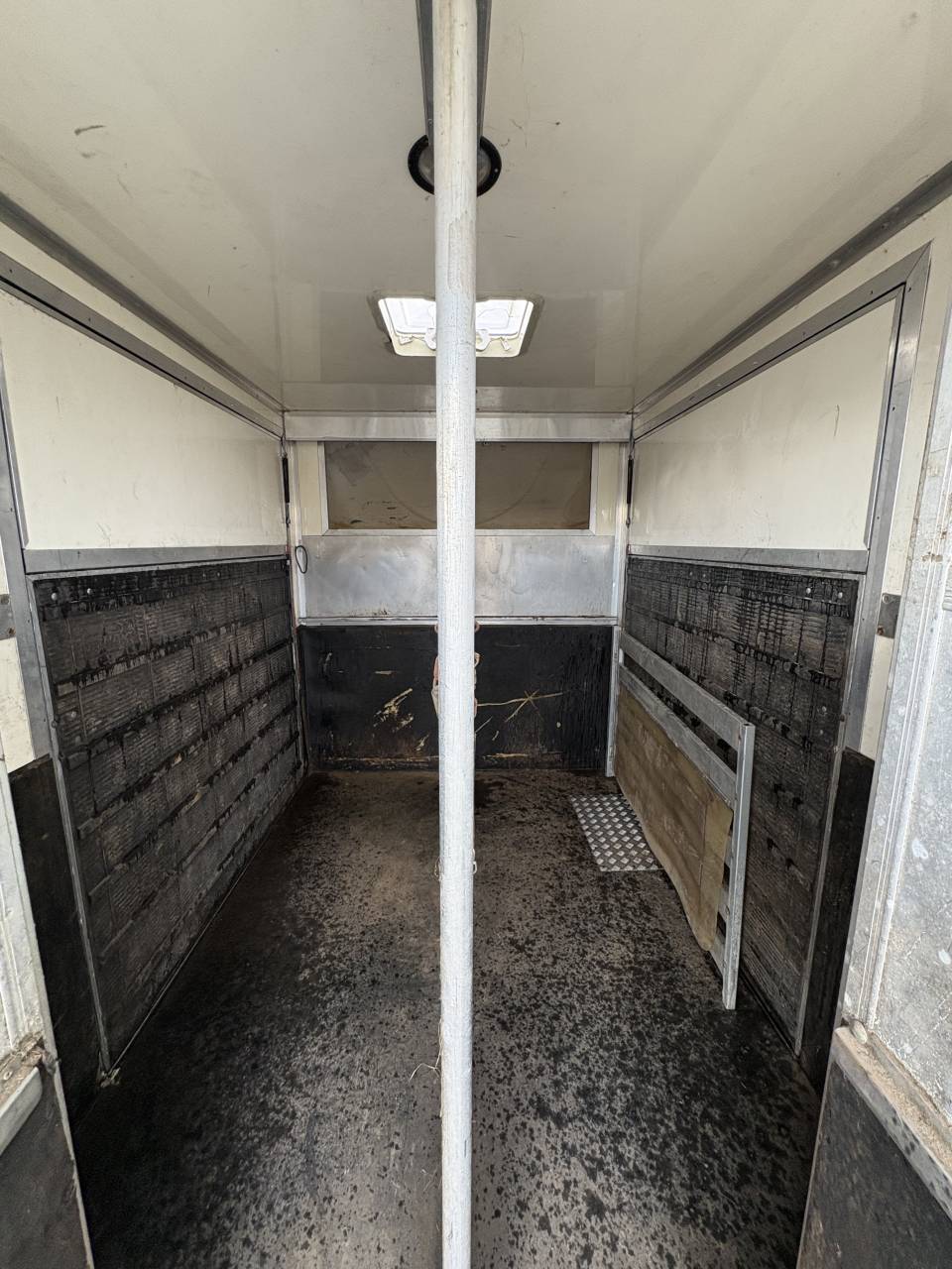 Van per Cavalli Iveco Daily  2009 Occasione