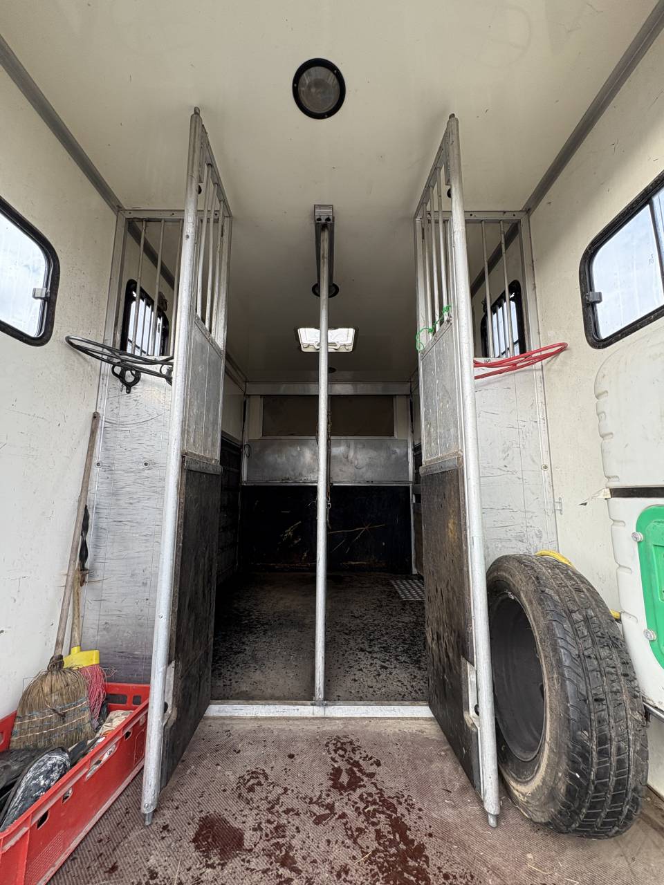 Van per Cavalli Iveco Daily  2009 Occasione