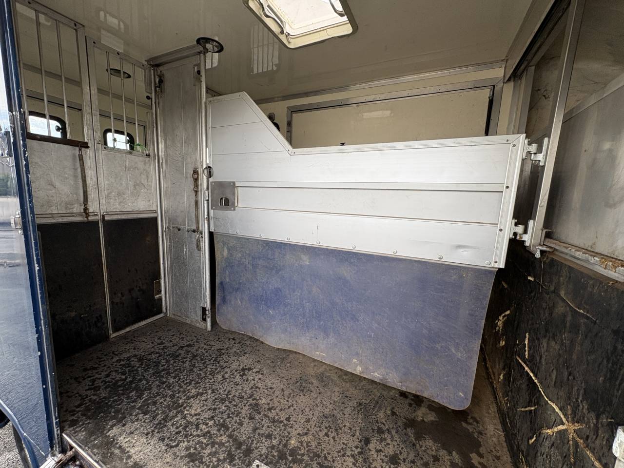 Van per Cavalli Iveco Daily  2009 Occasione