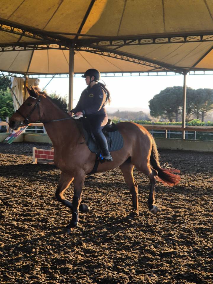 cavalla 11 anni 1,70 al garrese 