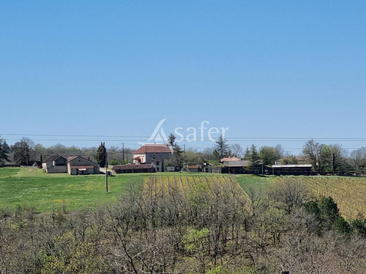 Azienda viticola / Vigneto In vendita Lot