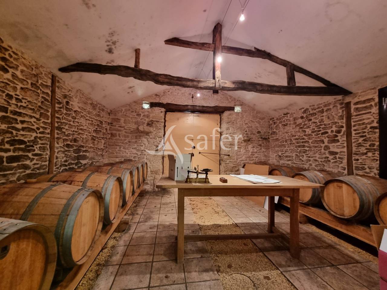 Azienda viticola / Vigneto In vendita Lot